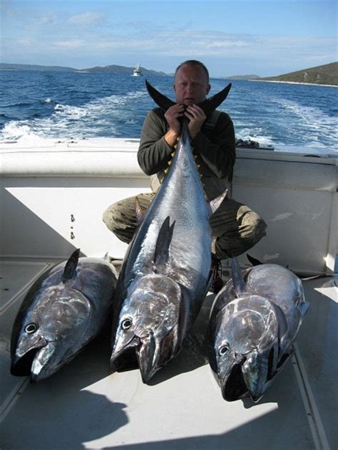 big game fishing europe|Big game fishing Croatia .